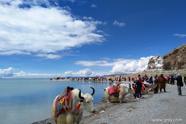 怎么去西藏旅游