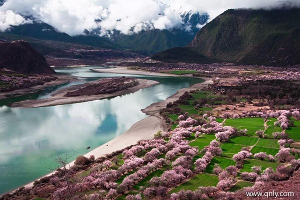 选择旅行团旅游多少钱