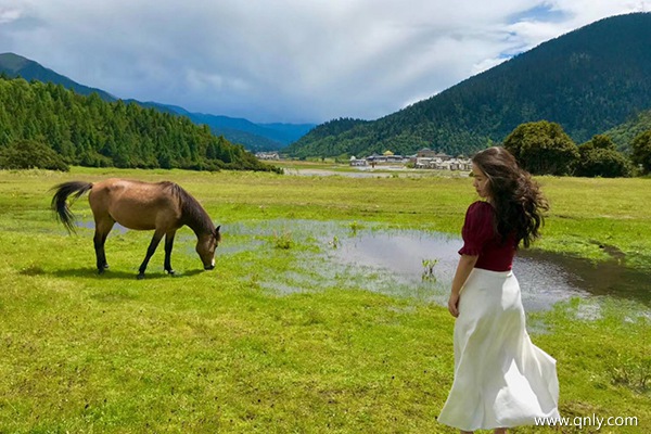 去西藏旅行费用多少钱